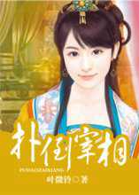 扑倒宰相