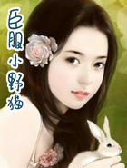 臣服小野猫