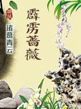 霹雳蔷薇