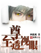 至尊透视眼